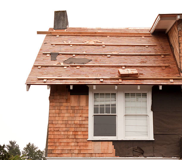 Bad Axe, MI Siding Installation & Repair Company